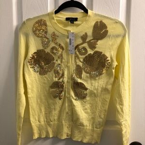 Beautiful  J Crew sweater cardigan